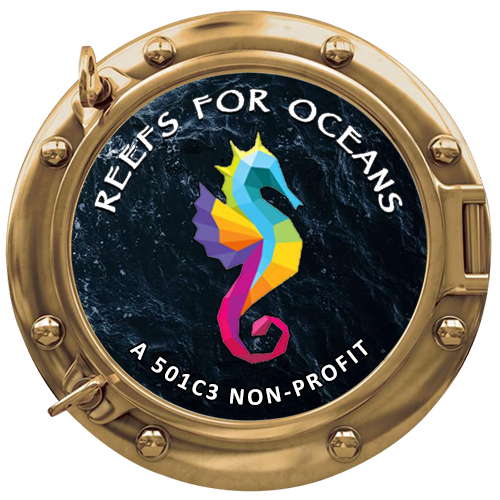 Reefs For Oceans